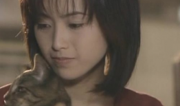 酒井法子电视剧,演绎传奇人生，电视剧中的璀璨星光